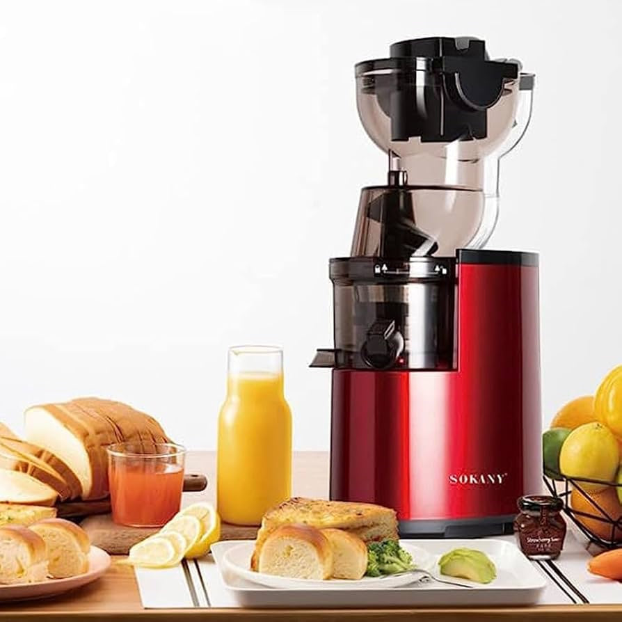 EXTRACTOR DE JUGO SOKANY 01009